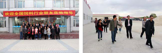 Colleagues from the domestic feed industry visited Tianyu Group's montmorillonite production base for inspection